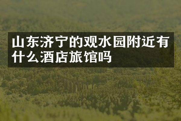 山东济宁的观水园附近有什么酒店旅馆吗