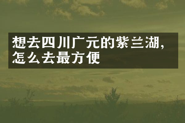 想去四川广元的紫兰湖，怎么去最方便