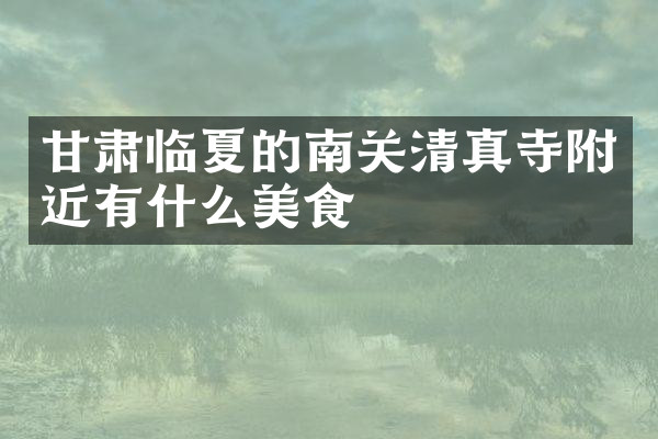 甘肃临夏的南关清真寺附近有什么美食