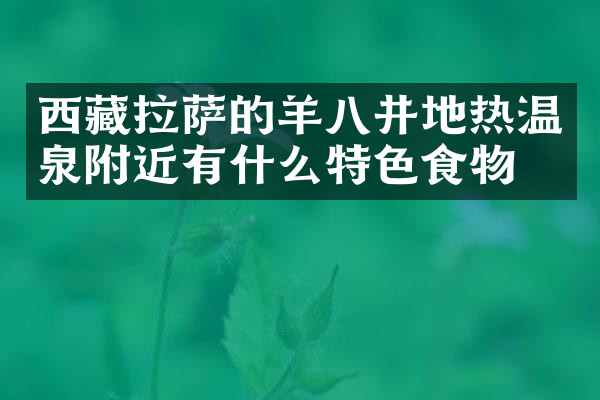 西藏拉萨的羊八井地热温泉附近有什么特色食物吗