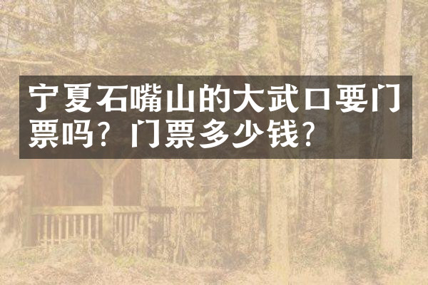 宁夏石嘴山的大武口要门票吗？门票多少钱？
