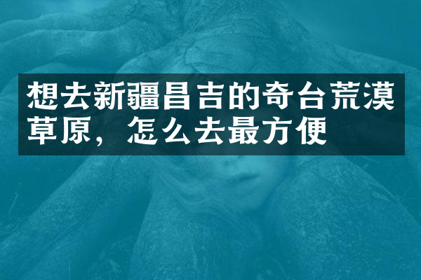 想去新疆昌吉的奇台荒漠草原，怎么去最方便