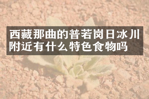 西藏那曲的普若岗日冰川附近有什么特色食物吗