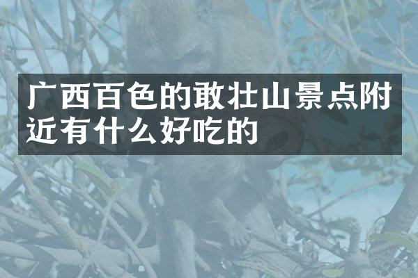 广西百色的敢壮山景点附近有什么好吃的