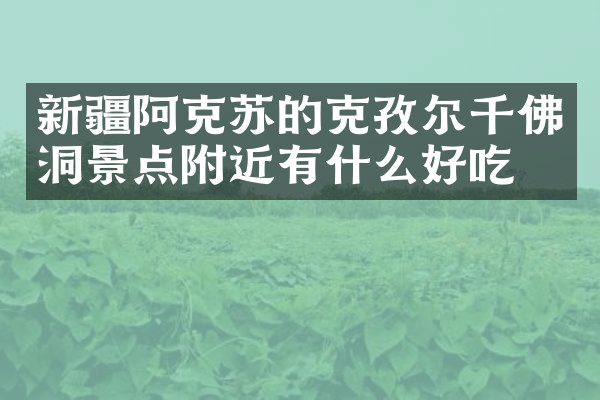 新疆阿克苏的克孜尔千佛洞景点附近有什么好吃的