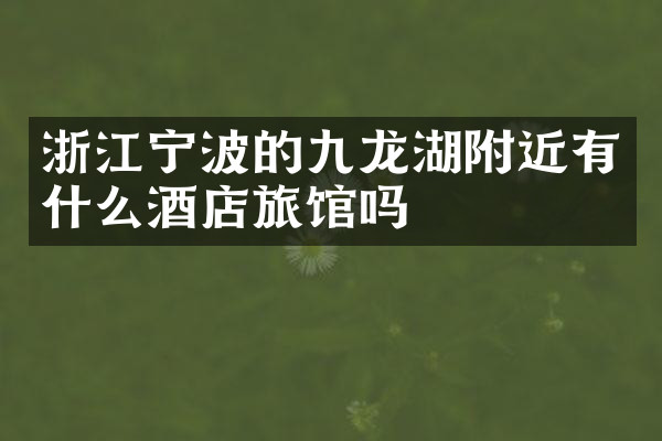 浙江宁波的九龙湖附近有什么酒店旅馆吗