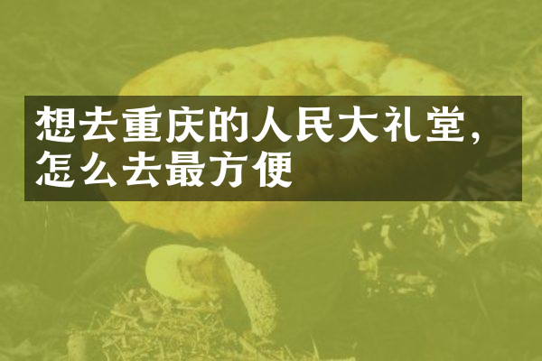 想去重庆的人民大礼堂，怎么去最方便