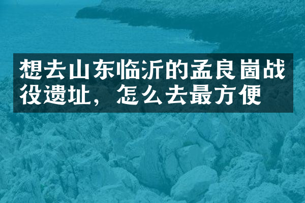 想去山东临沂的孟良崮战役遗址，怎么去最方便