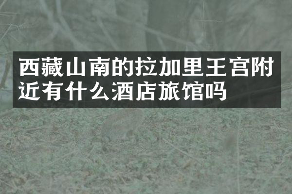 西藏山南的拉加里王宫附近有什么酒店旅馆吗