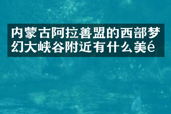 内蒙古阿拉善盟的西部梦幻大峡谷附近有什么美食