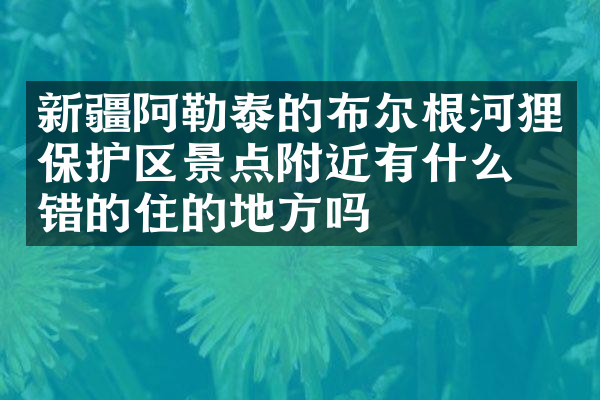 新疆阿勒泰的布尔根河狸保护区景点附近有什么不错的住的地方吗