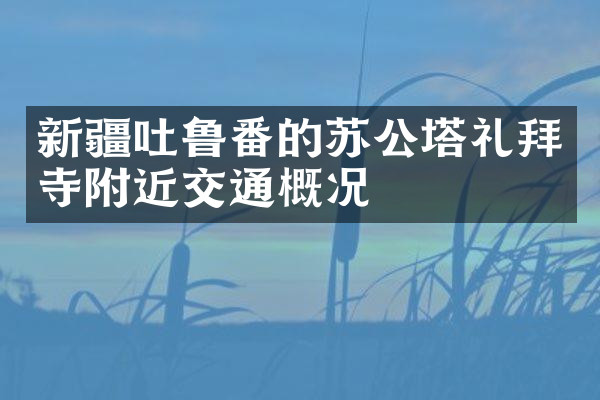 新疆吐鲁番的苏公塔礼拜寺附近交通概况