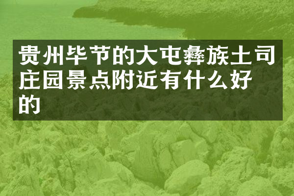 贵州毕节的大屯彝族土司庄园景点附近有什么好吃的