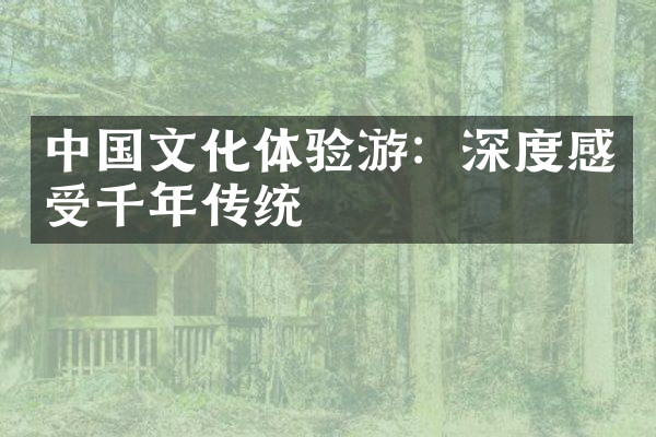 中国文化体验游：深度感受千年传统