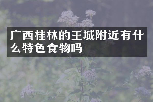 广西桂林的王城附近有什么特色食物吗