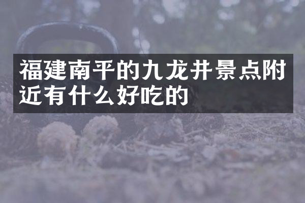 福建南平的九龙井景点附近有什么好吃的