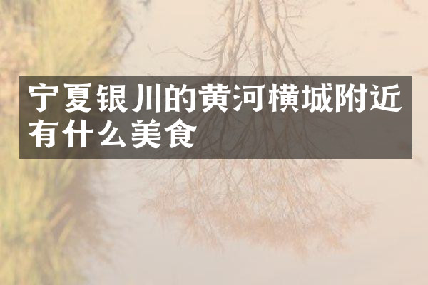 宁夏银川的黄河横城附近有什么美食
