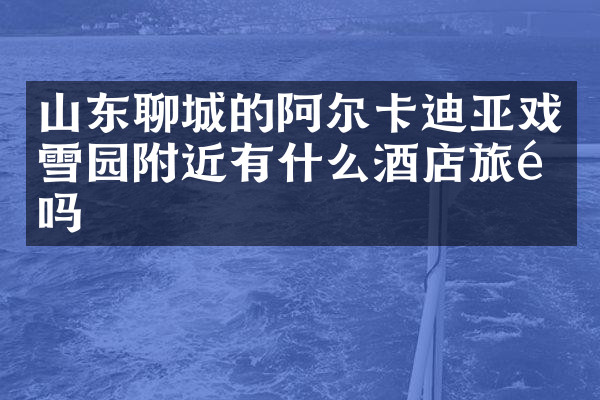 山东聊城的阿尔卡迪亚戏雪园附近有什么酒店旅馆吗