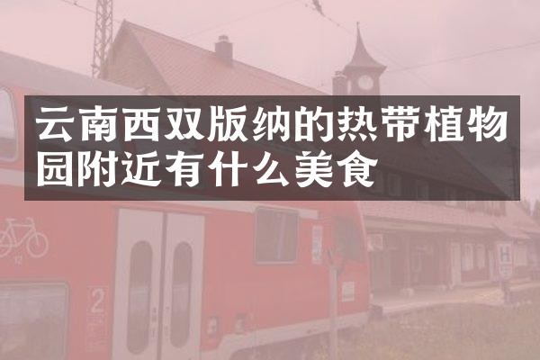 云南西双版纳的热带植物园附近有什么美食