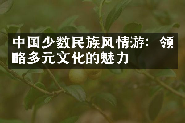 中国少数民族风情游：领略多元文化的魅力