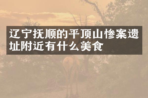 辽宁抚顺的平顶山惨案遗址附近有什么美食