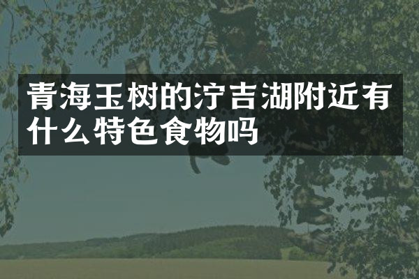 青海玉树的泞吉湖附近有什么特色食物吗