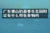 广东佛山的盈香生态园附近有什么特色食物吗