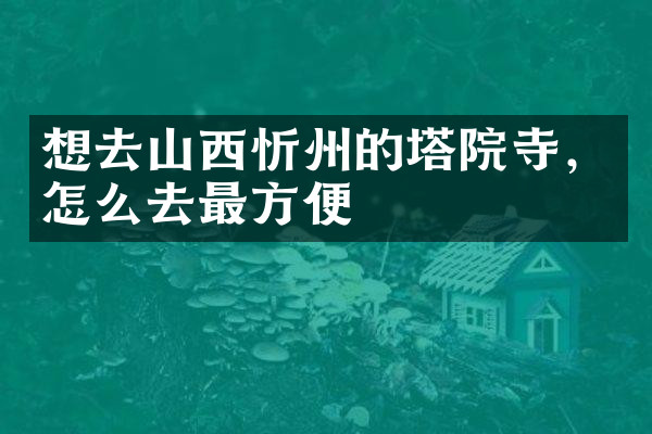 想去山西忻州的塔院寺，怎么去最方便