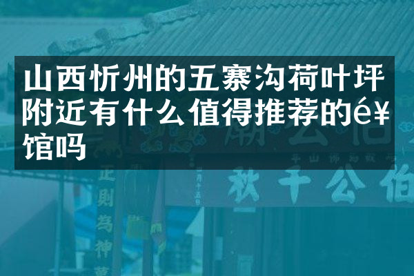 山西忻州的五寨沟荷叶坪附近有什么值得推荐的饭馆吗