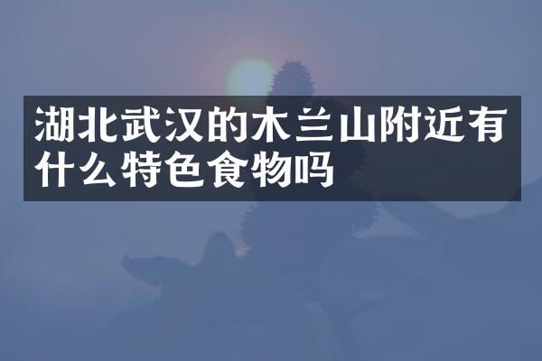 湖北武汉的木兰山附近有什么特色食物吗