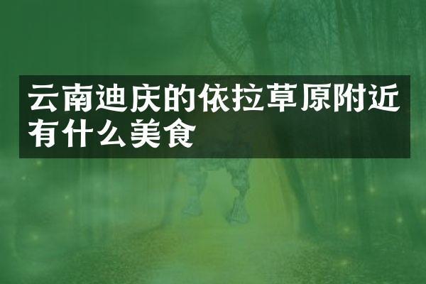 云南迪庆的依拉草原附近有什么美食