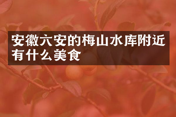 安徽六安的梅山水库附近有什么美食