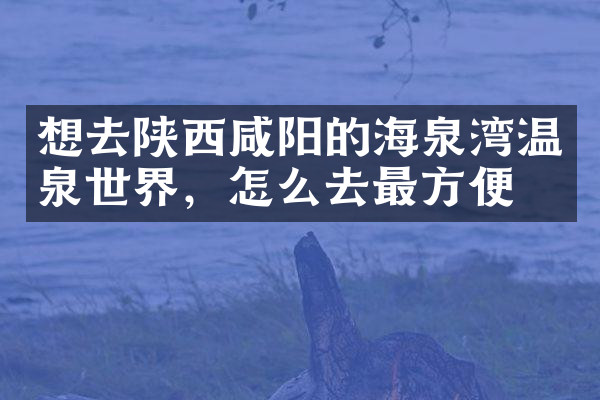 想去陕西咸阳的海泉湾温泉世界，怎么去最方便