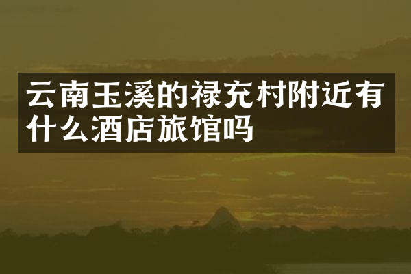云南玉溪的禄充村附近有什么酒店旅馆吗