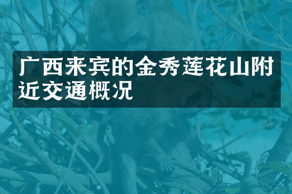 广西来宾的金秀莲花山附近交通概况