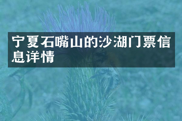 宁夏石嘴山的沙湖门票信息详情