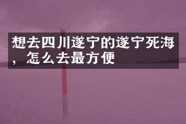 想去四川遂宁的遂宁死海，怎么去最方便