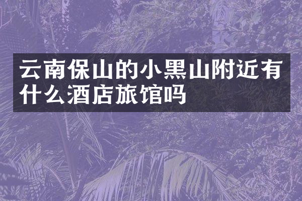 云南保山的小黑山附近有什么酒店旅馆吗