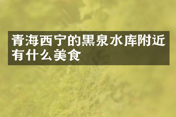 青海西宁的黑泉水库附近有什么美食