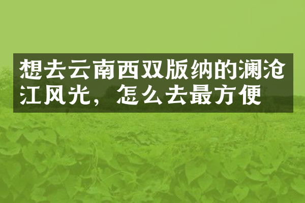 想去云南西双版纳的澜沧江风光，怎么去最方便