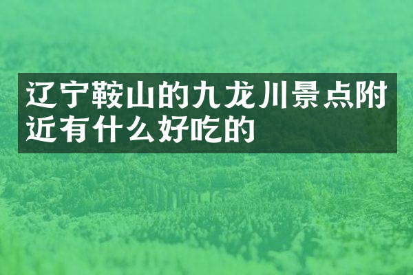 辽宁鞍山的九龙川景点附近有什么好吃的