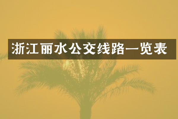 浙江丽水公交线路一览表