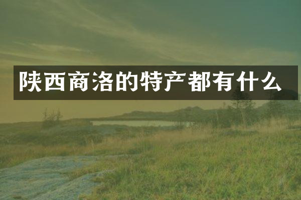 陕西商洛的特产都有什么