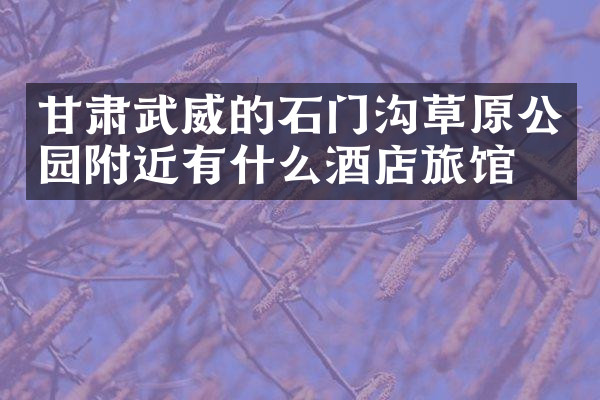 甘肃武威的石门沟草原公园附近有什么酒店旅馆吗