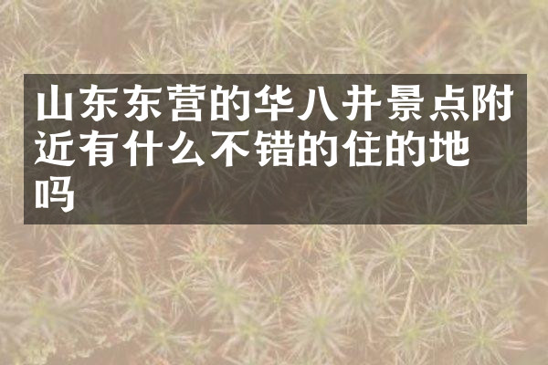 山东东营的华八井景点附近有什么不错的住的地方吗
