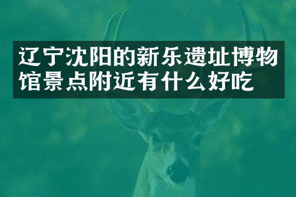辽宁沈阳的新乐遗址博物馆景点附近有什么好吃的