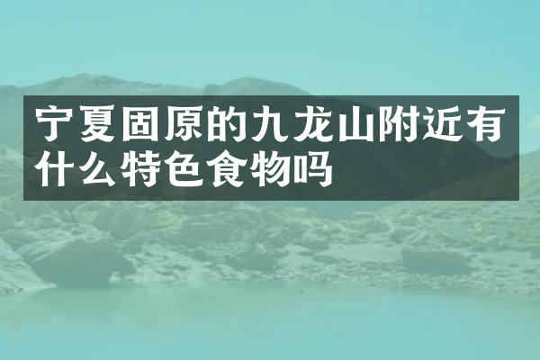 宁夏固原的九龙山附近有什么特色食物吗