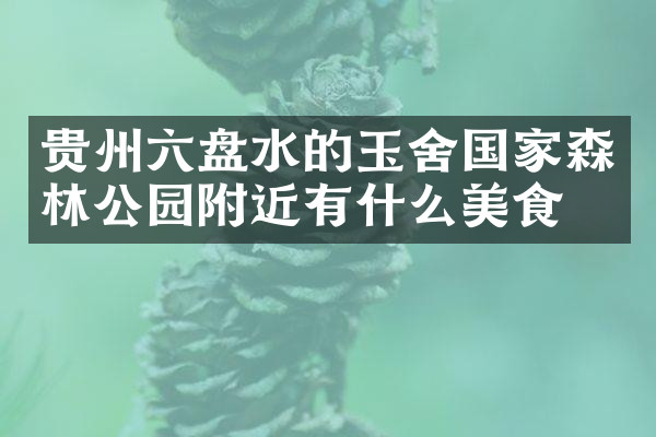 贵州六盘水的玉舍国家森林公园附近有什么美食