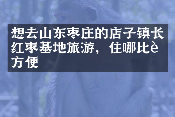 想去山东枣庄的店子镇长红枣基地旅游，住哪比较方便
