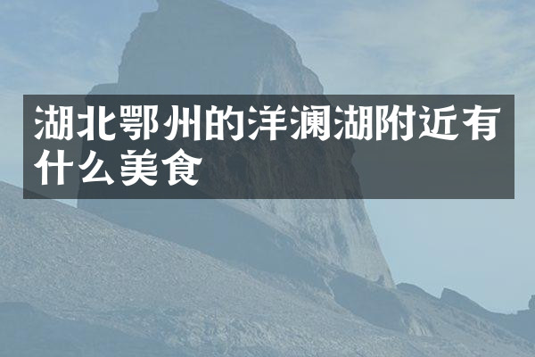 湖北鄂州的洋澜湖附近有什么美食